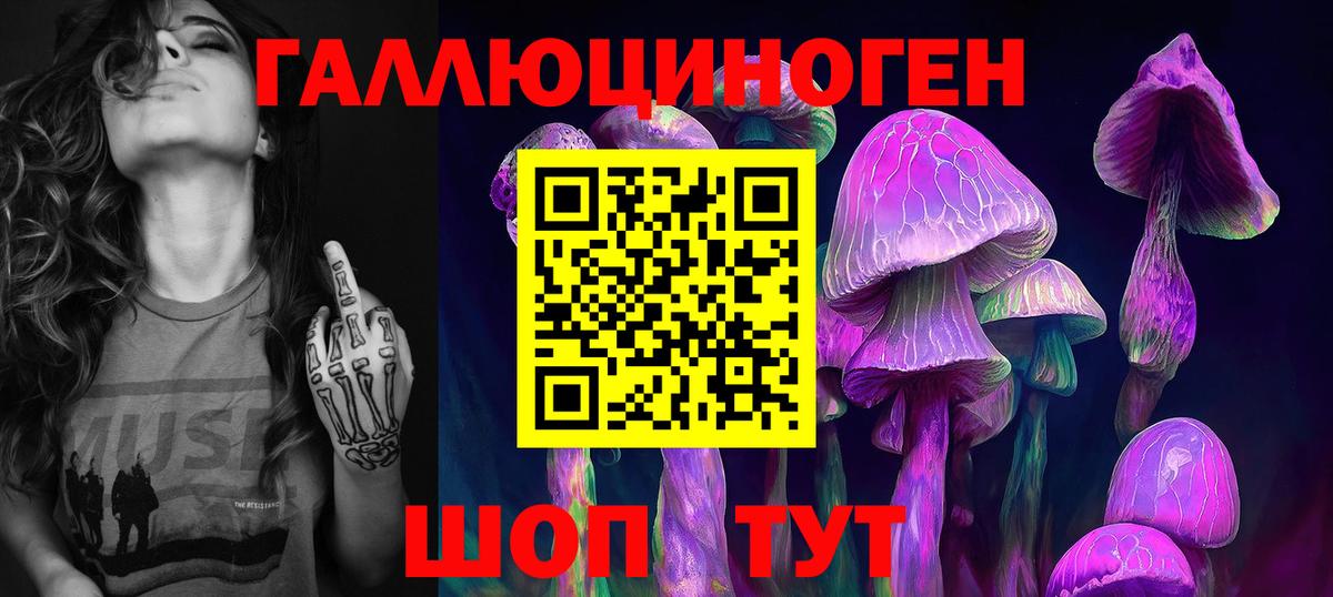 Галлюциногенные грибы Psilocybine cubensis Муром
